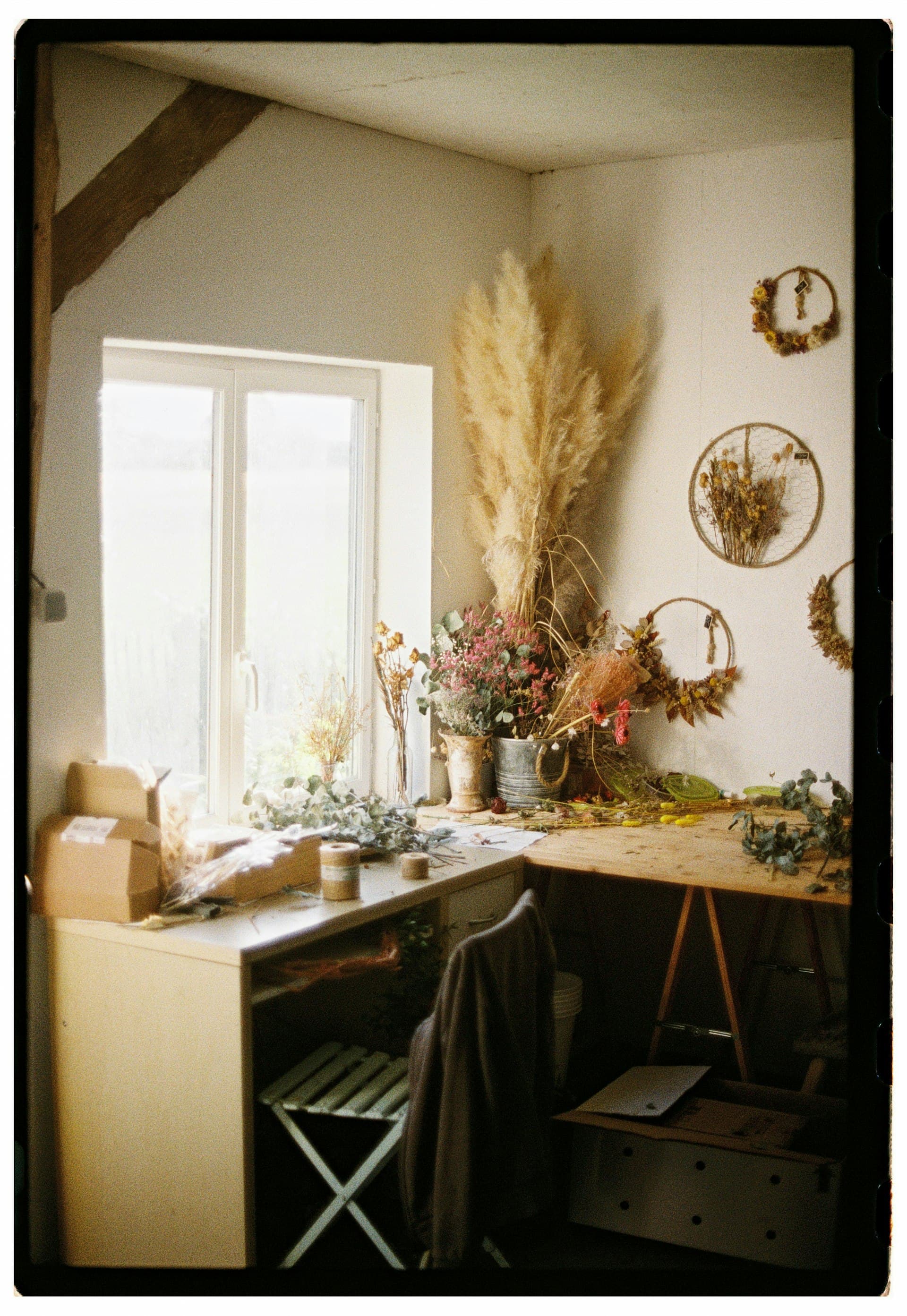 Pampasgras in huiselijke omgeving, symbool voor therapie in vertrouwde sfeer